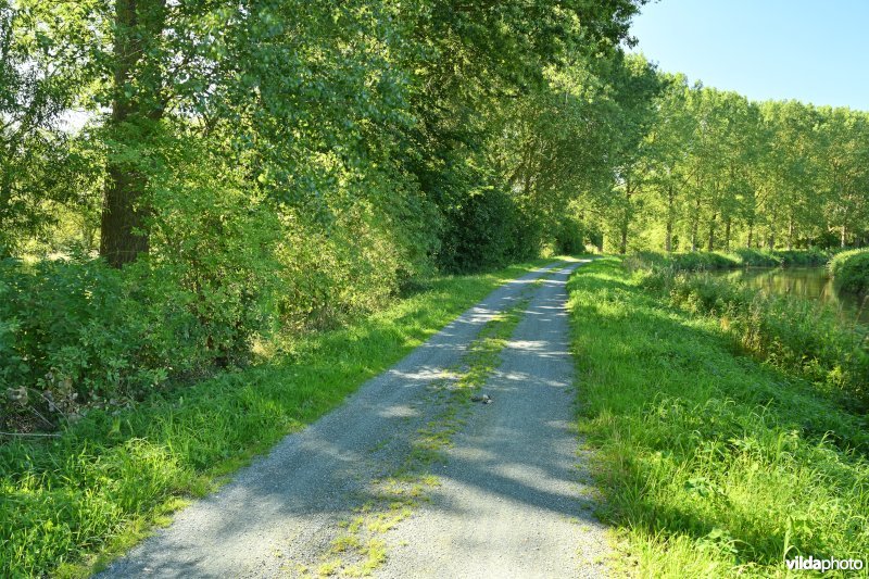 Demervallei: Molenstedebroek