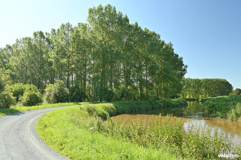 Demervallei: Molenstedebroek (R)