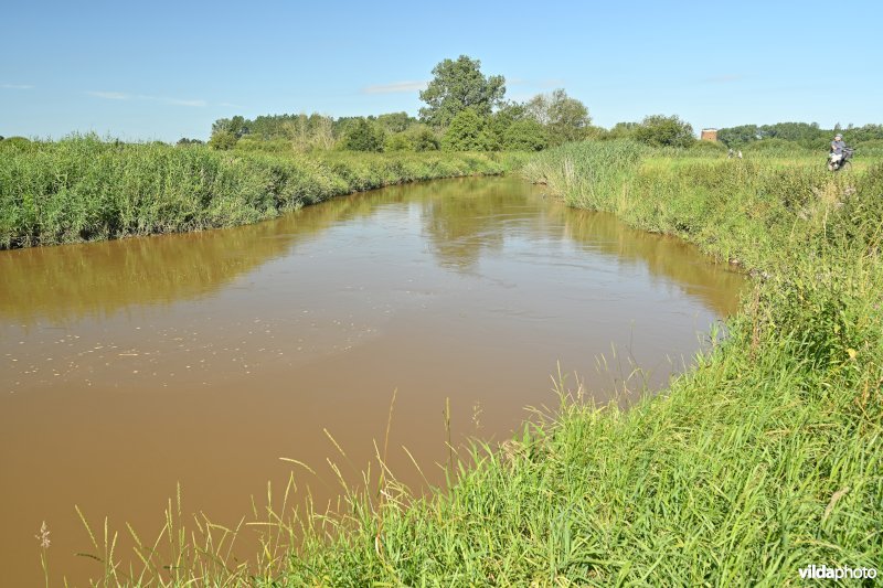 Demervallei: Vinkenberg