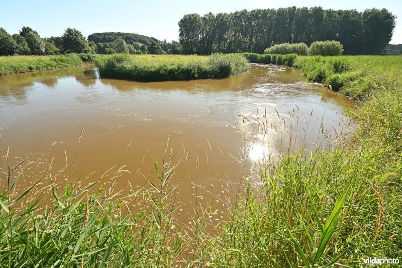 Demervallei: Vinkenberg