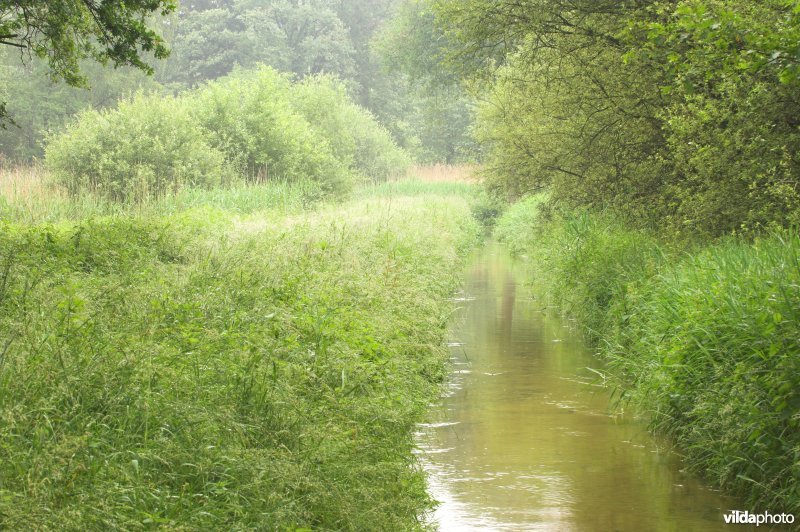 Bosreservaat Jagersborg