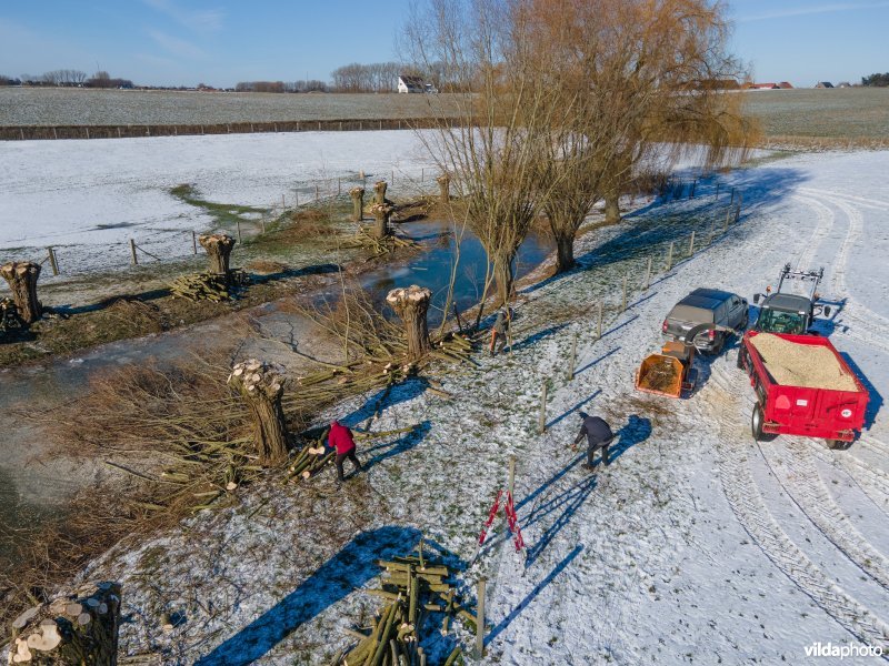 Natuurmaatregelen in agrarisch landschap