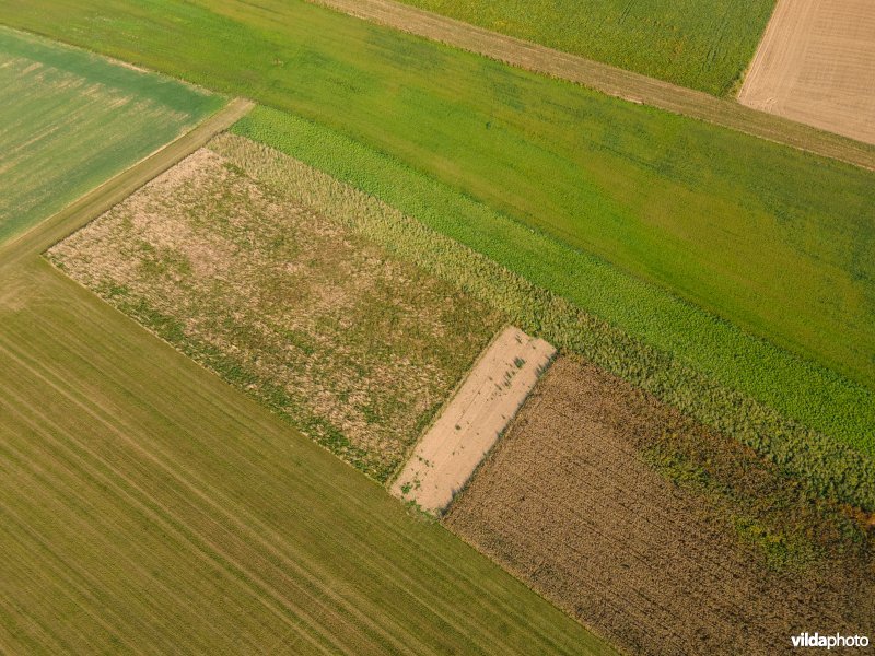 Natuurmaatregelen in agrarisch landschap