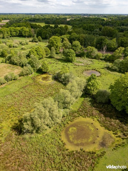 Natuurgebied De Brand