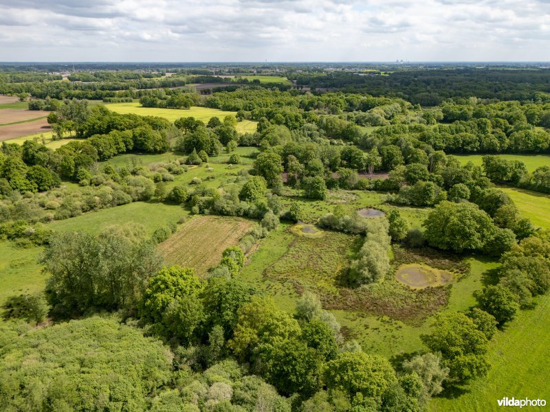 Natuurgebied De Brand