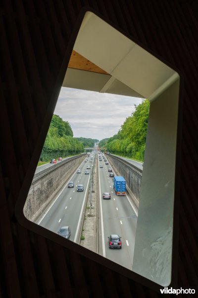 Ring rond Brussel in het Zoniënwoud
