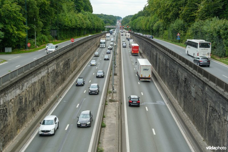 Ring rond Brussel in het Zoniënwoud
