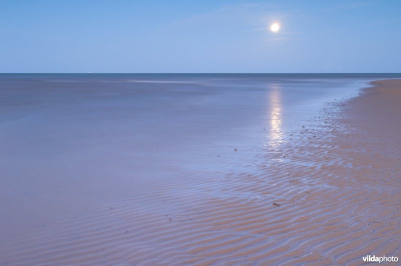 Holkhambay