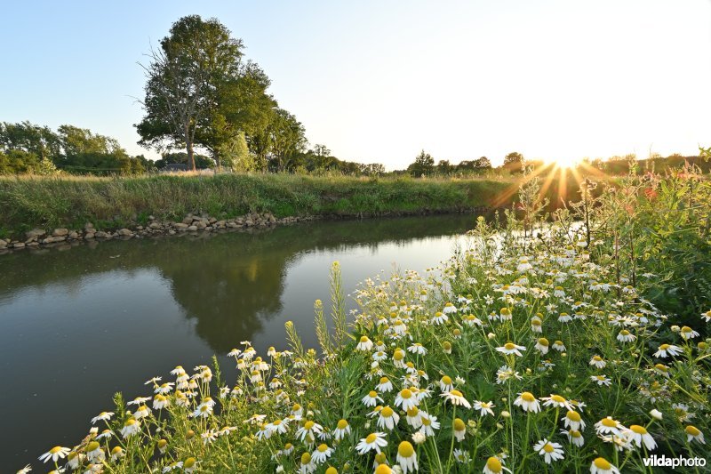 Demervallei 