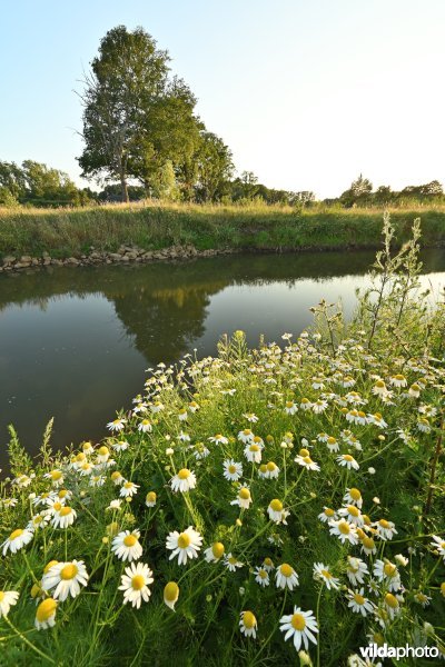 Demervallei 