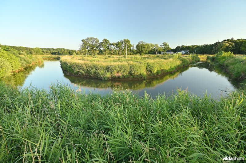 Demervallei: Meanders van Nieuwland (R)