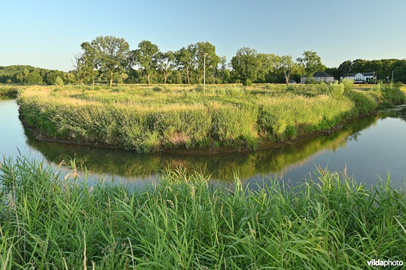 Demervallei: Meanders van Nieuwland (R)