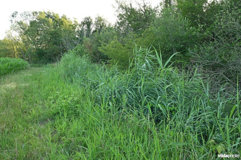 Demervallei: Heuvels Laakvallei 