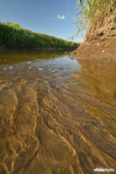 Demervallei: monding van de Laarbeek