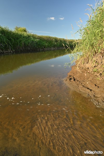 Demervallei: monding van de Laarbeek