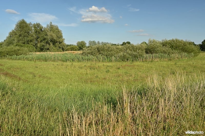 Demervallei: monding Laarbeek