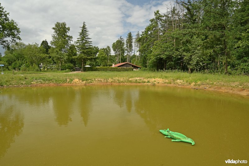 Demervallei: Doodbroek 