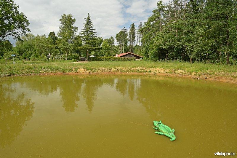 Demervallei: Doodbroek 