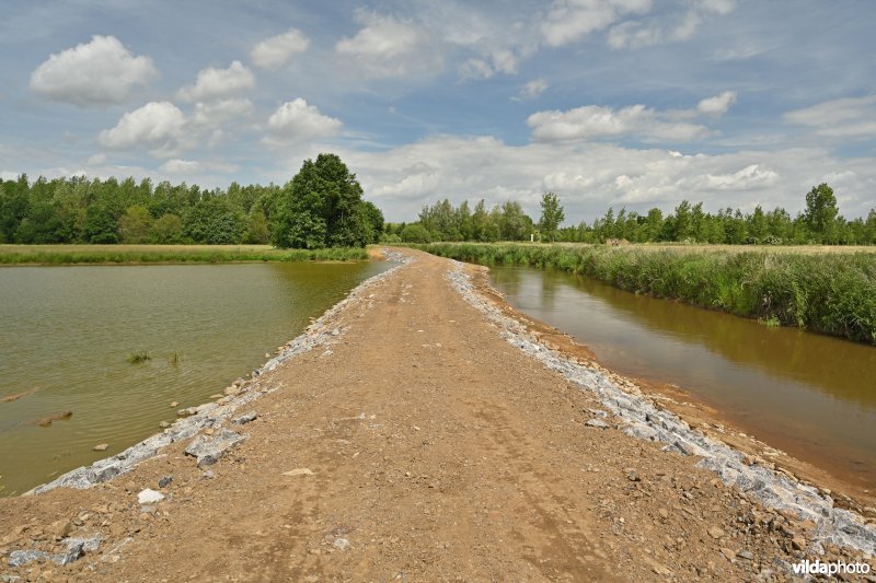 Demervallei: Kloosterbeemden