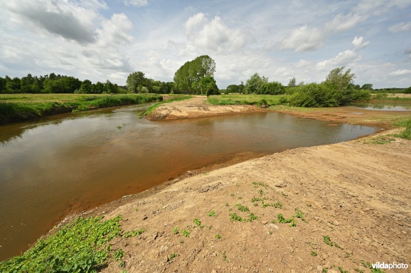 Demervallei: Kloosterbeemden