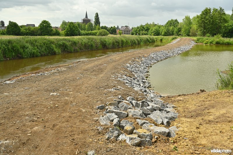 Demervallei: Kloosterbeemden