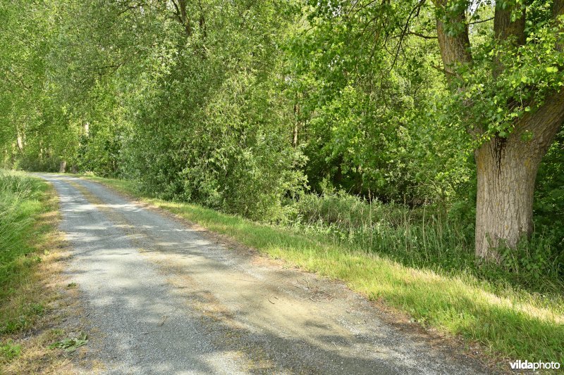 Demervallei: Molenstedebroek