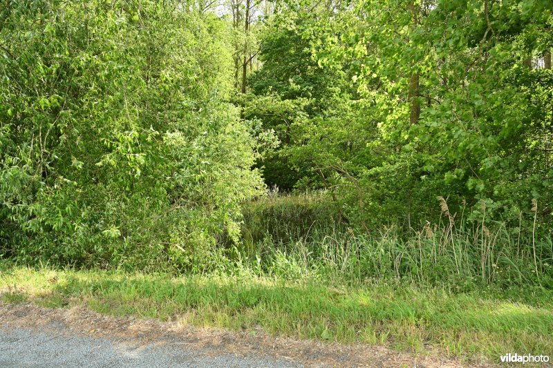 Demervallei: Molenstedebroek