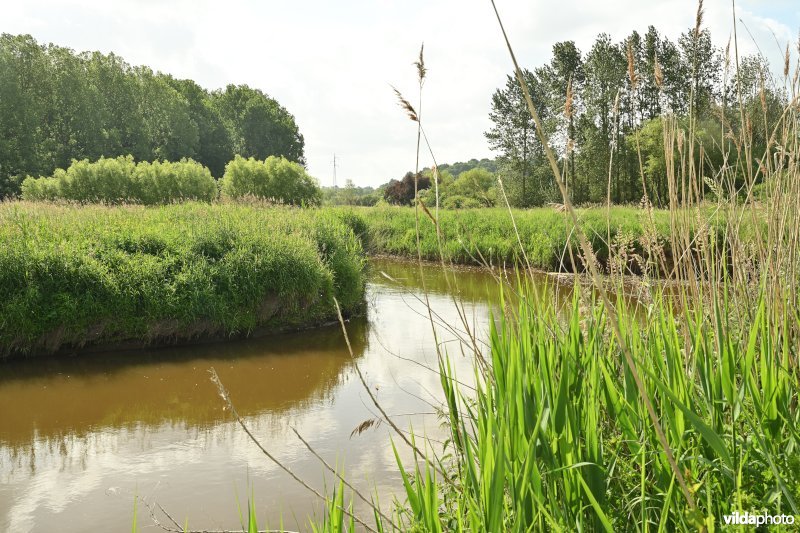 Demervallei: Vinkenberg