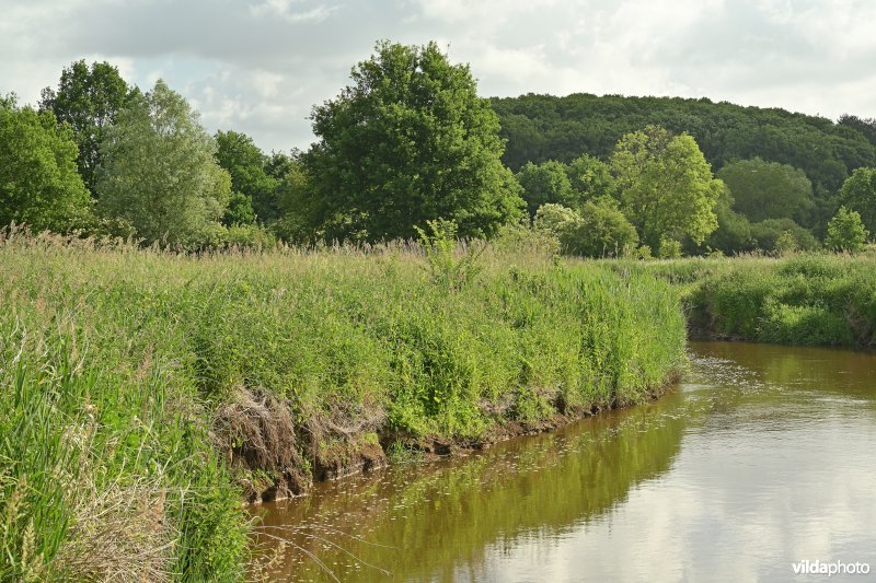 Demervallei: Vinkenberg