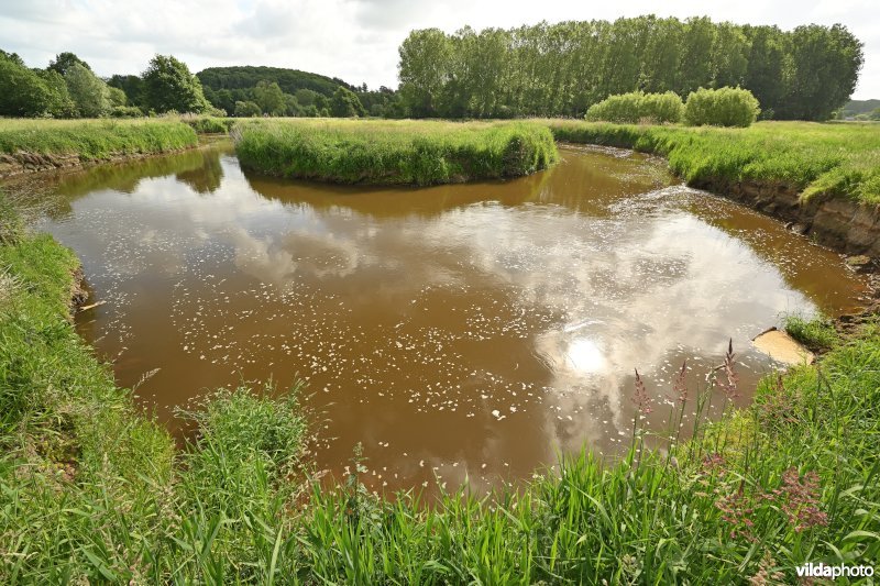 Demervallei: Vinkenberg