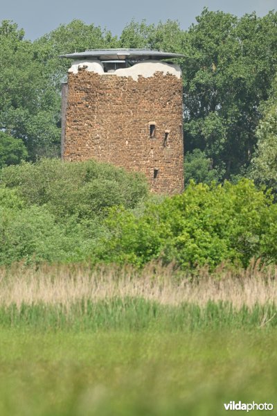 Demervallei 