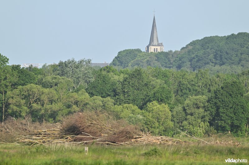 Bruggeneindse Laakvallei
