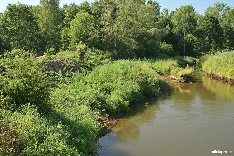 Demervallei: meander 23