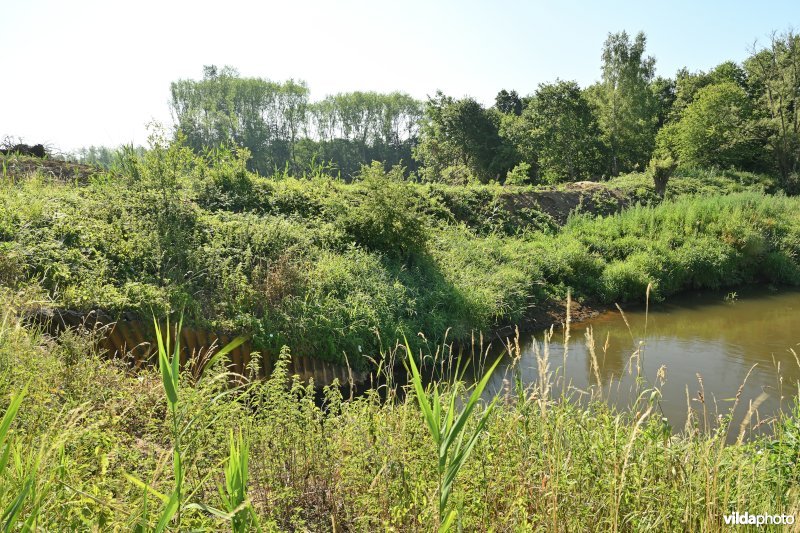 Demervallei: meander 23