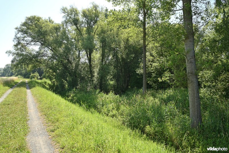 Demervallei: Werchter (R)