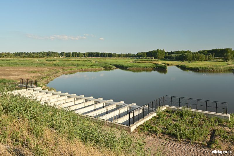 Vlassenbroekse polder 