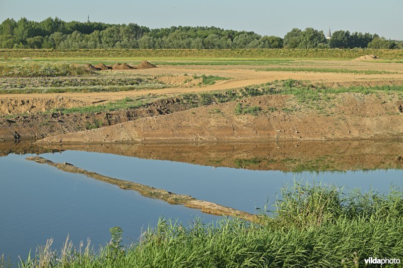 Groot Schoor te Bornem