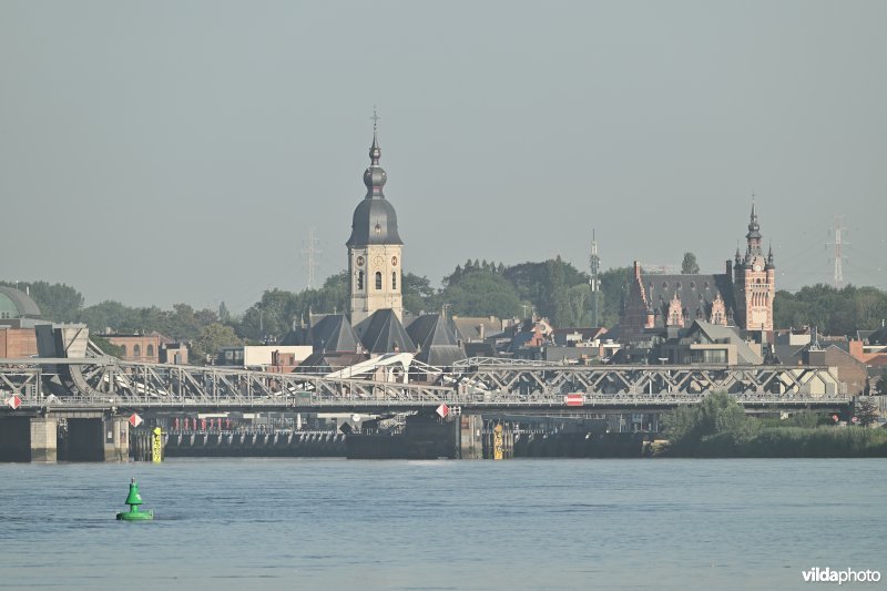 Schelde in Temse 