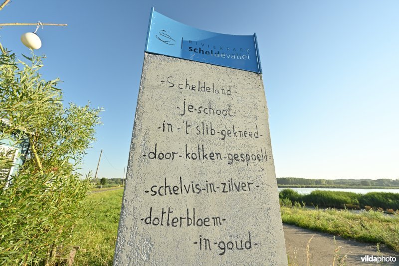 Groot Schoor te Bornem