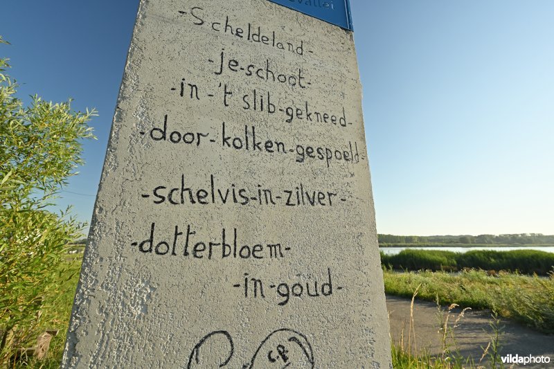 Groot Schoor te Bornem