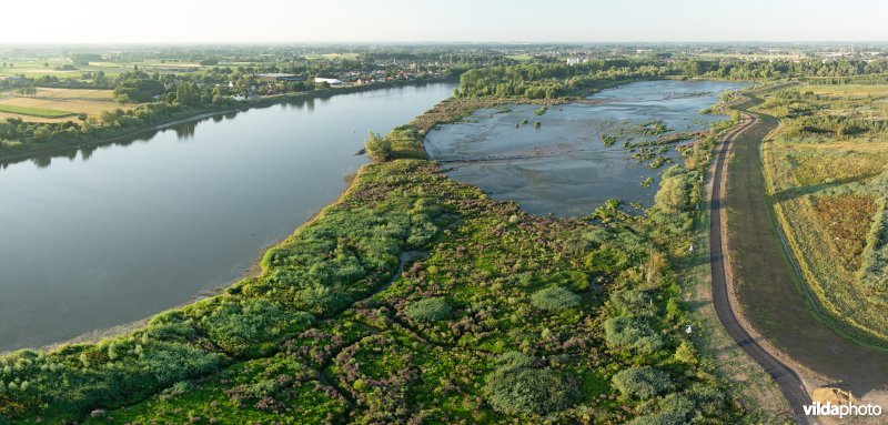 Groot Schoor in Hamme