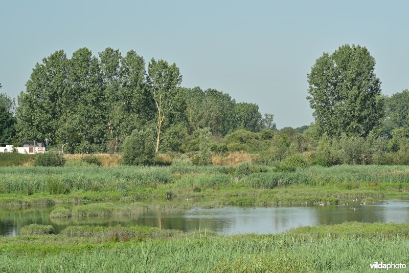 Zennegat