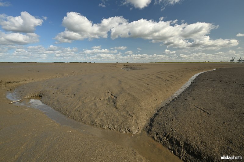 Hedwige-Prosperschor