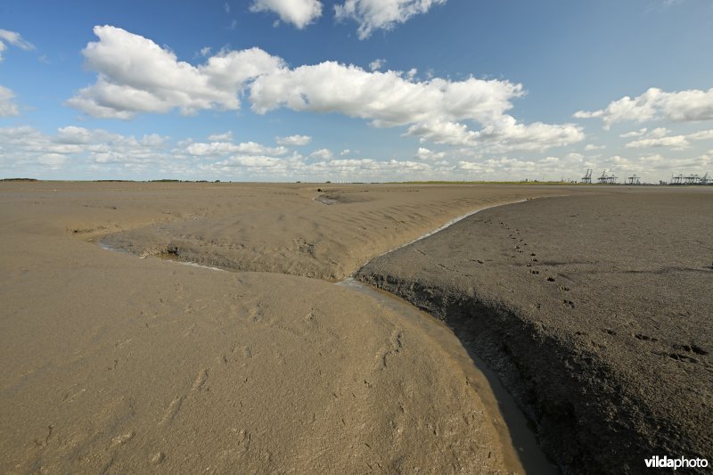 Hedwige-Prosperschor