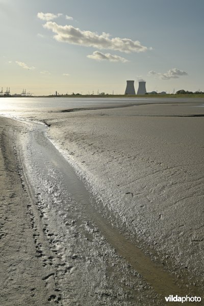 Hedwige-Prosperschor