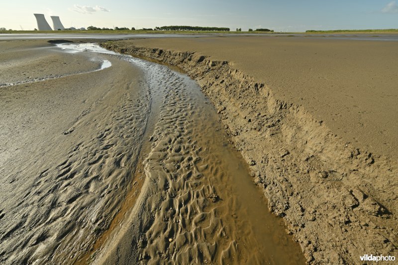 Hedwige-Prosperschor