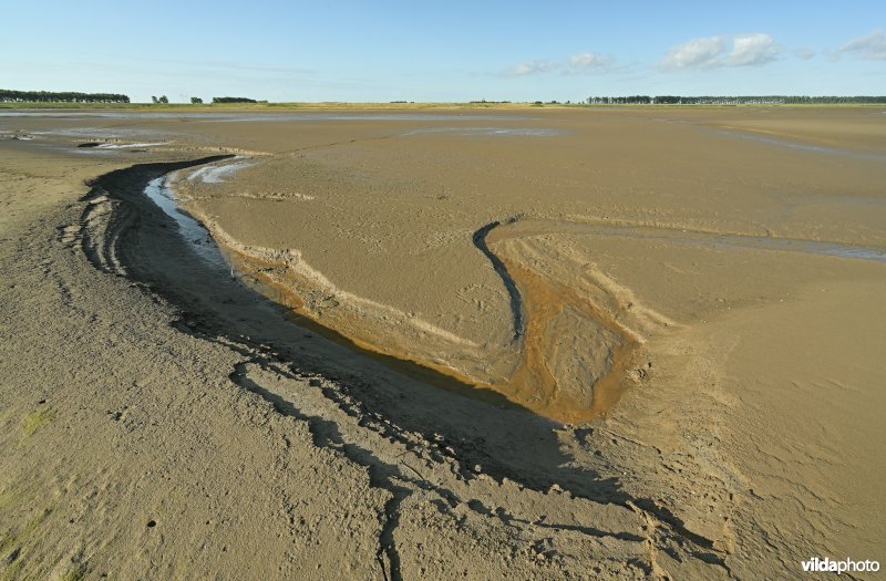 Hedwige-Prosperschor