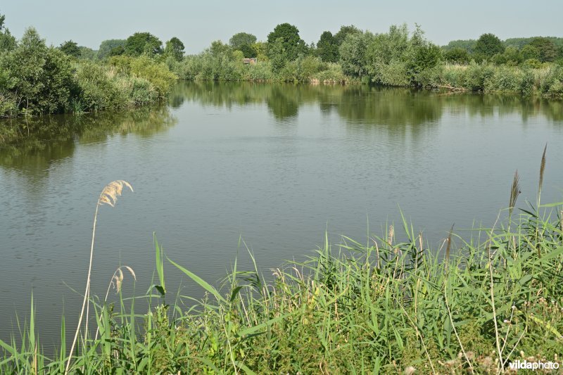 Oude Schelde in de Kalkense Meersen (R)