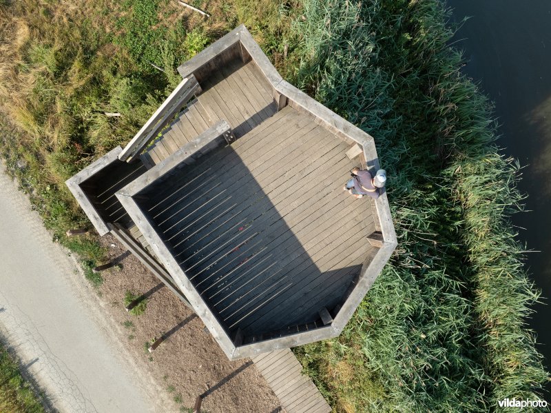 Uitkijktoren aan de oude Schelde in de Kalkense Meersen