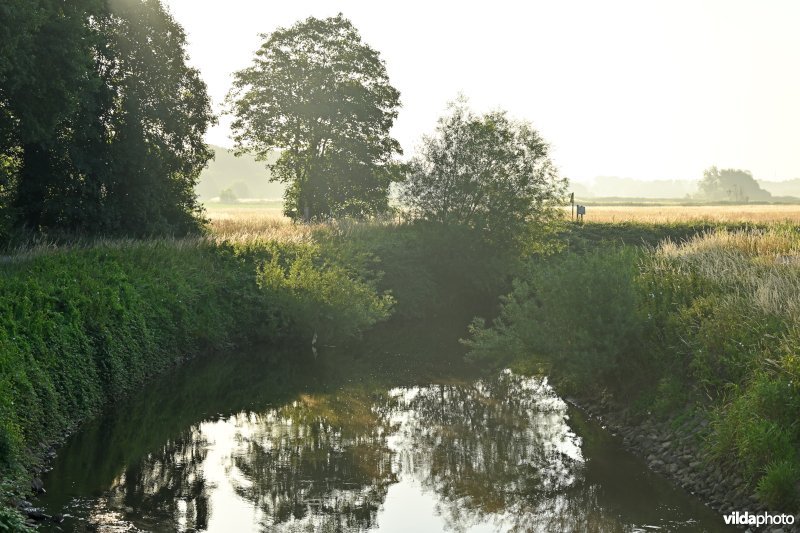 Demervallei: Langdorp